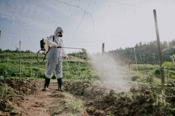 Best Pest Removal Services  in Dewitt, AR