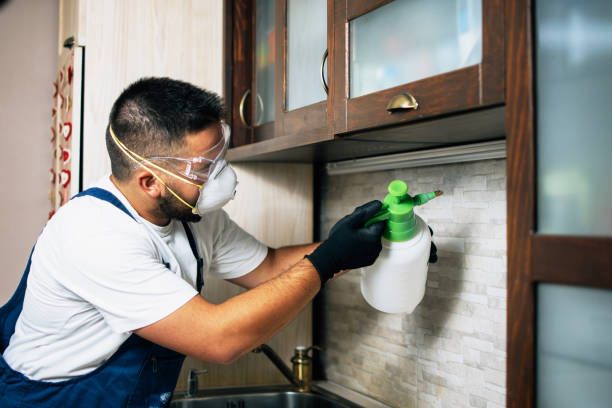 Best Local Pest Control Services  in Dewitt, AR