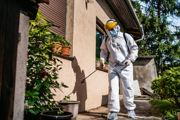 Best Residential Pest Control  in Dewitt, AR