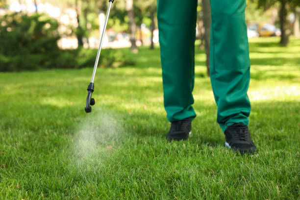 Best Flea Control Services  in Dewitt, AR