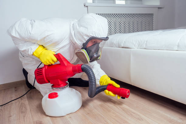 Best Emergency Pest Control  in Dewitt, AR