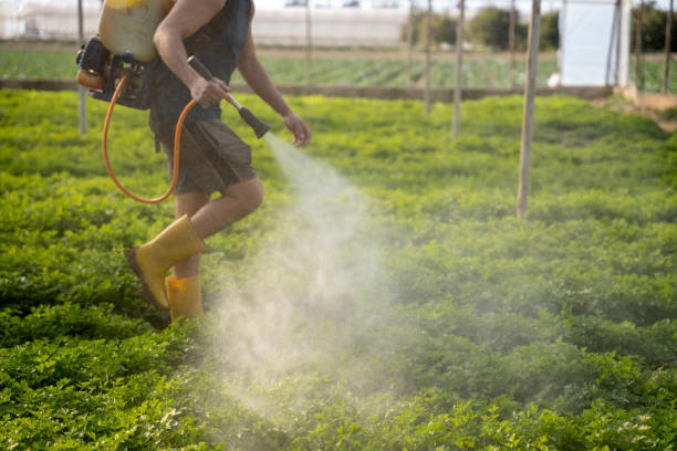 Best Best Pest Control Near Me  in Dewitt, AR