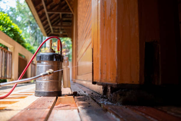 Best Wasp Removal Services  in Dewitt, AR