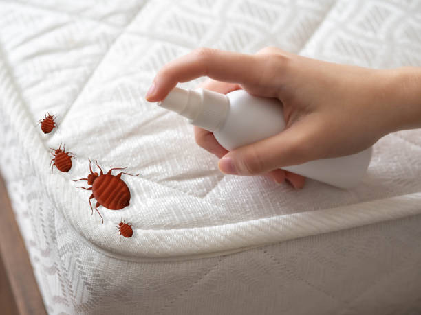 Best Pest Inspection Near Me  in Dewitt, AR