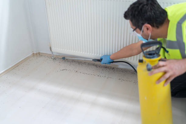 Best Pest Prevention Services  in Dewitt, AR