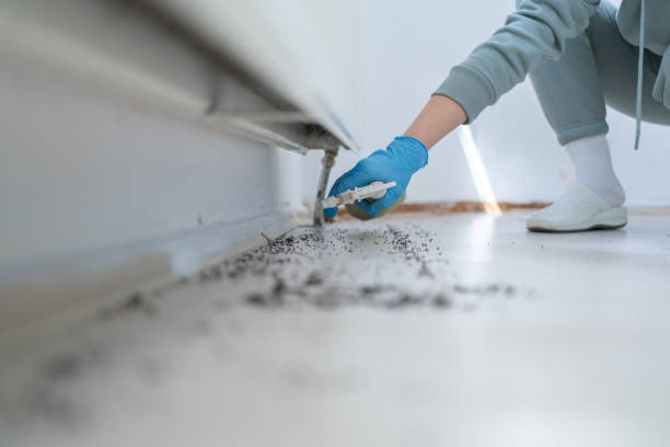 Pest Prevention Services in Dewitt, AR